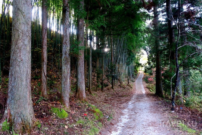 Накасендо: горная дорога феодальной Японии / Фото из Японии