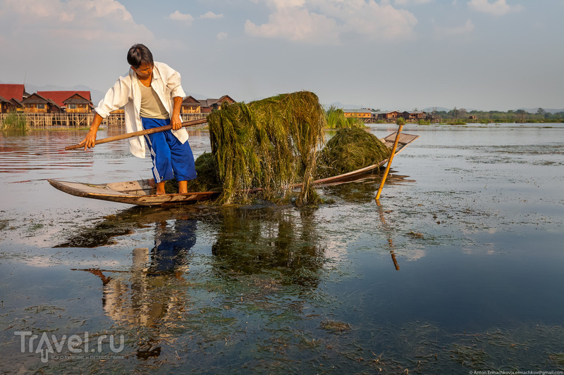 Бирма. Озеро Инле / Фото из Мьянмы