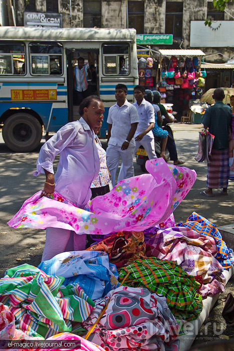 Рыночное исследование Шри-Ланки / Фото со Шри-Ланки