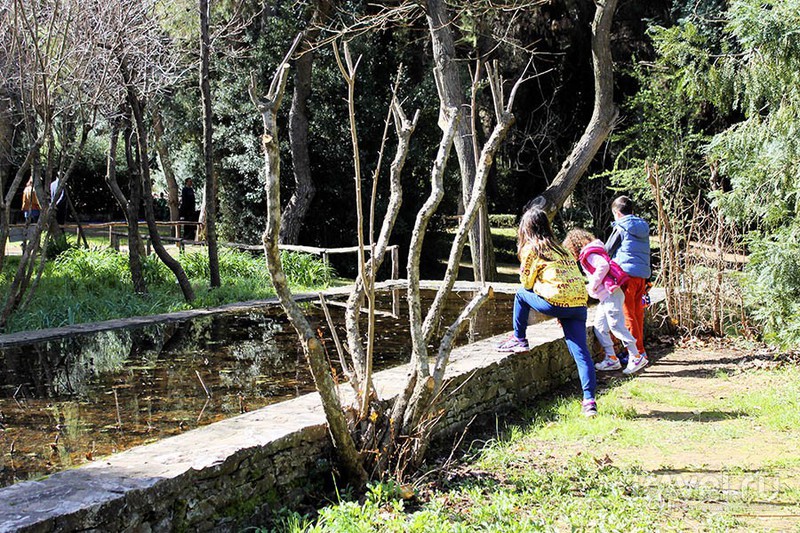 Виртуальная прогулка по ботаническому саду Диомидиса / Фото из Греции