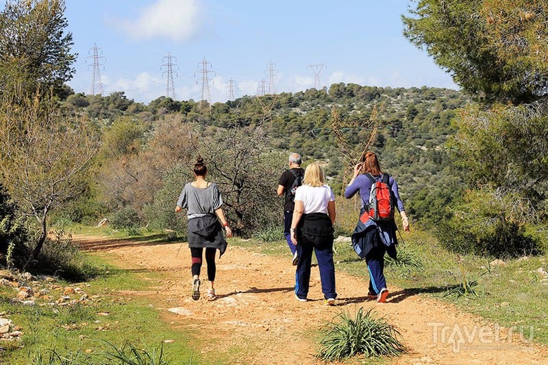 Виртуальная прогулка по ботаническому саду Диомидиса / Фото из Греции