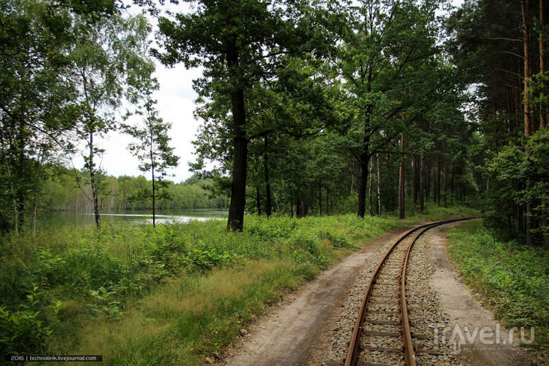 Прогулка вдоль заброшенной ветки лесной узкоколейки / Фото из Германии