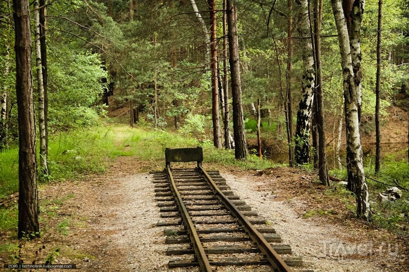 Прогулка вдоль заброшенной ветки лесной узкоколейки / Фото из Германии
