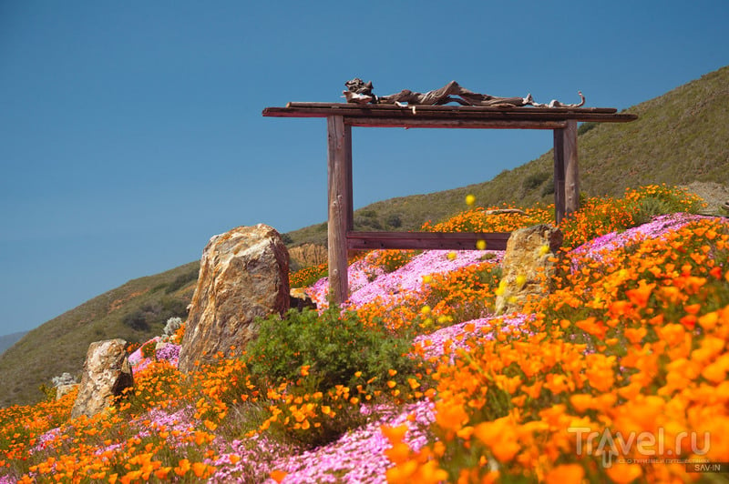 По цветущему побережью Калифорнии. Санта-Барбара и шоссе №1 / Фото из США