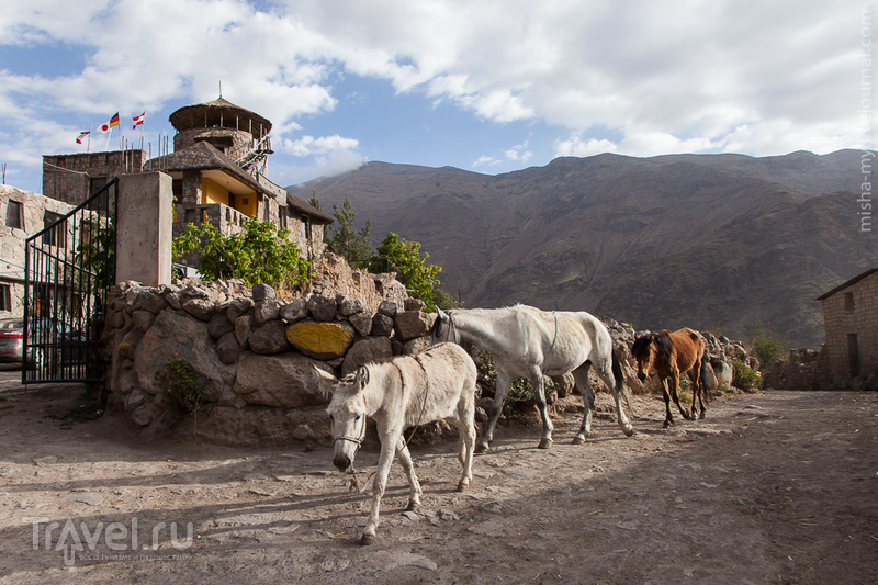 Поездка по Перу. Дорога в каньон Колка / Фото из Перу