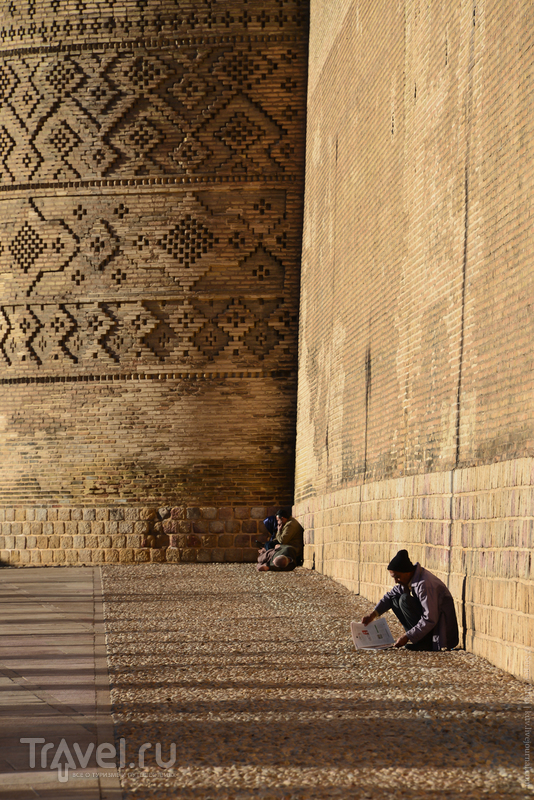 Зачем ехать в Шираз? / Фото из Ирана