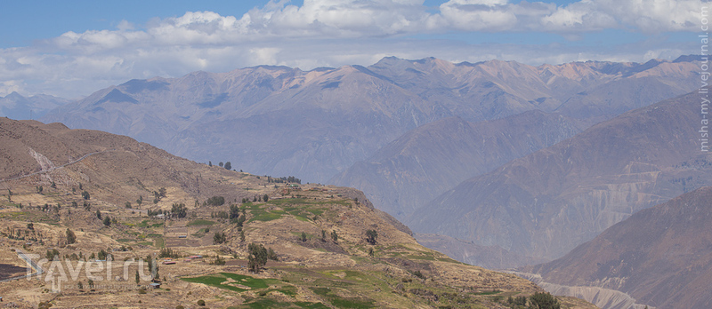 Поездка по Перу. Кондоры / Фото из Перу