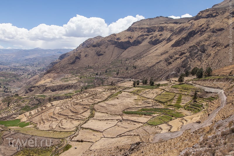 Поездка по Перу. Кондоры / Фото из Перу