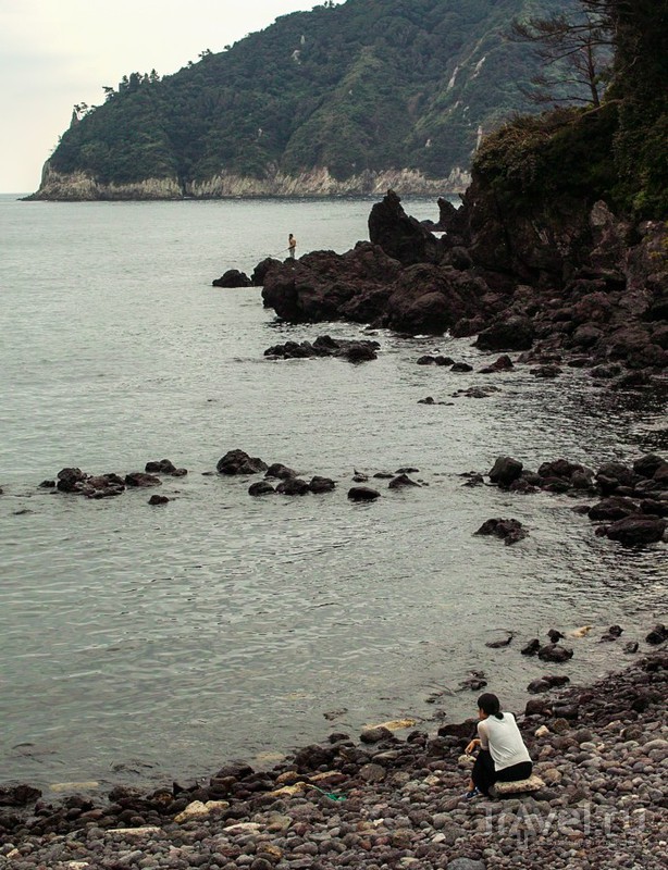 Jeju island     /    