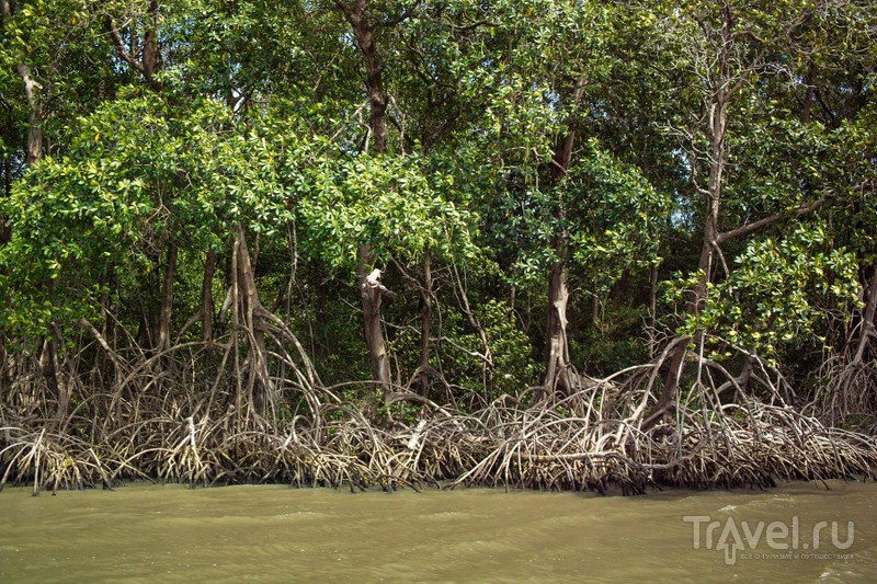 Rio Preguiças / 