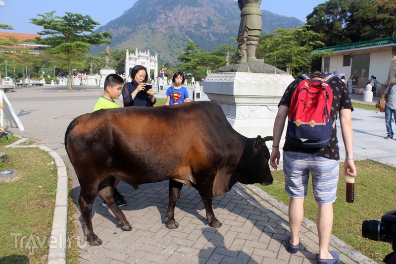 Гонконг. Острова Ламма и Лантау / Гонконг - Сянган (КНР)