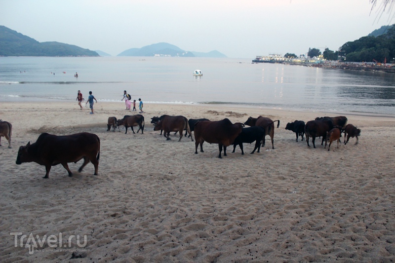 Гонконг. Острова Ламма и Лантау / Гонконг - Сянган (КНР)