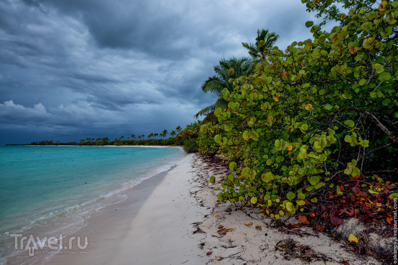 Нетрадиционный пляжный отдых / Фото из Доминиканской Республики