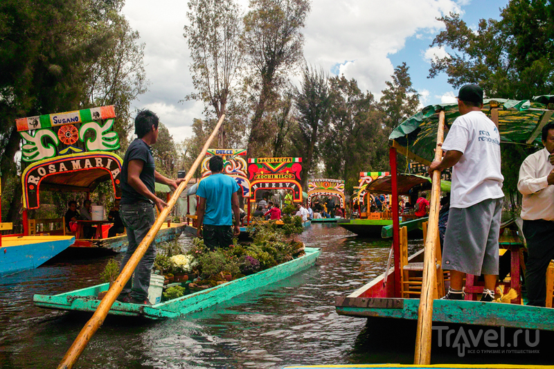 Xochimilco -   /   