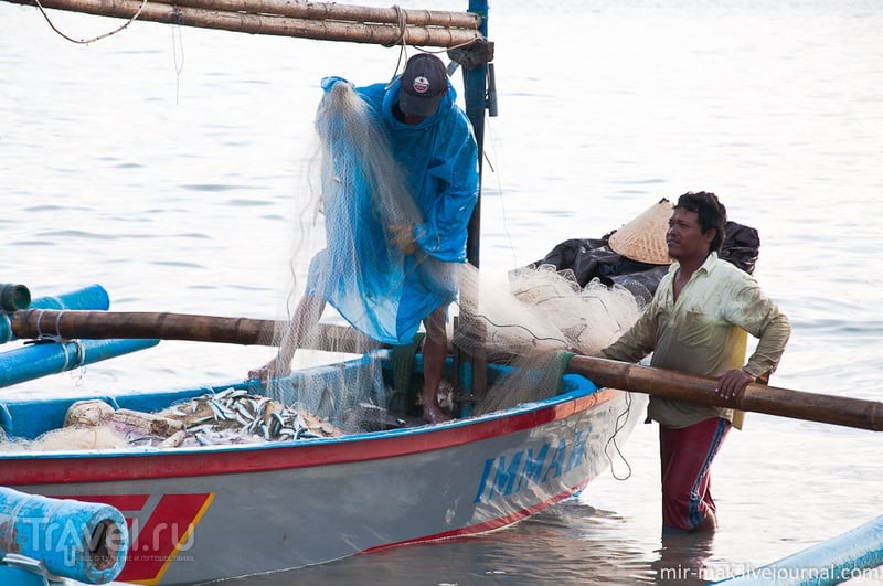 Рыбаки и рыба. Джимбаран, Бали / Фото из Индонезии
