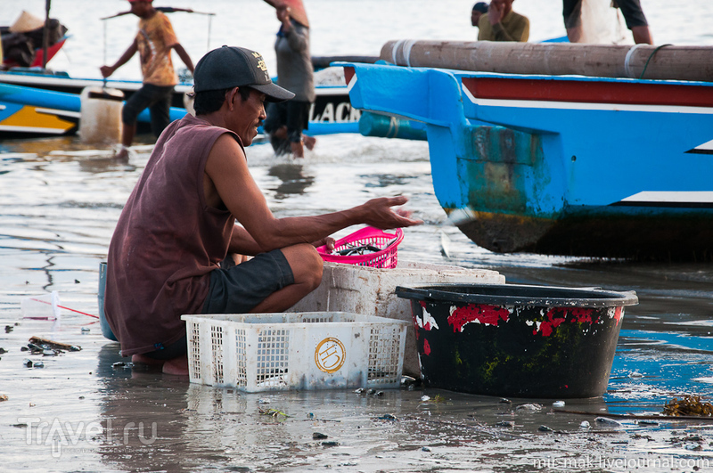 Рыбаки и рыба. Джимбаран, Бали / Фото из Индонезии