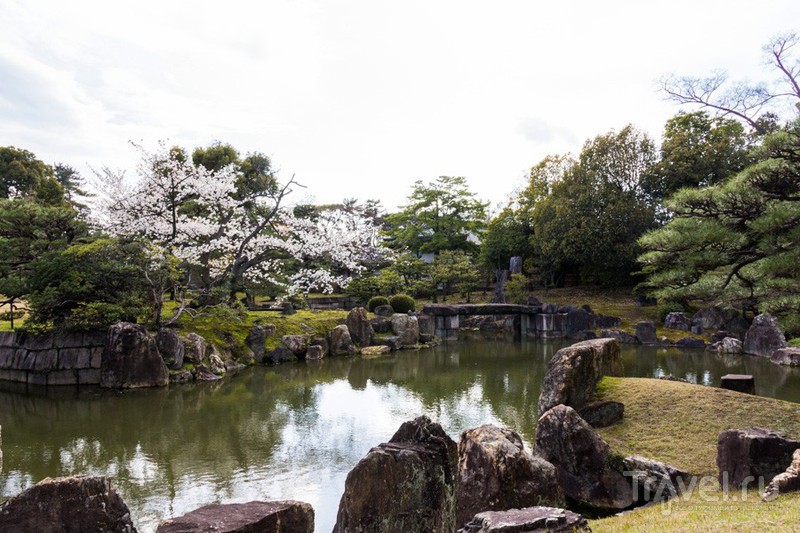 Киото. Замок сёгунов Нидзё / Фото из Японии