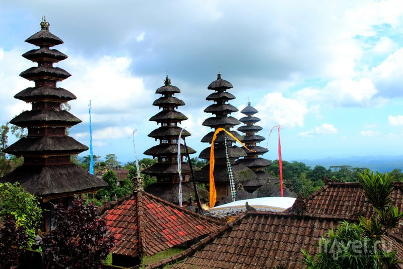 Бали, лювак и дуриан / Индонезия