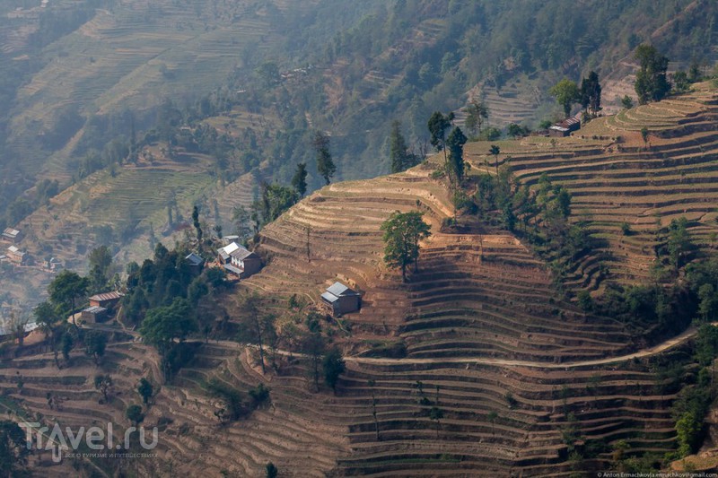 Неизвестные Гималаи. В поисках охотников за медом диких пчёл. Нагаркот / Фото из Китая
