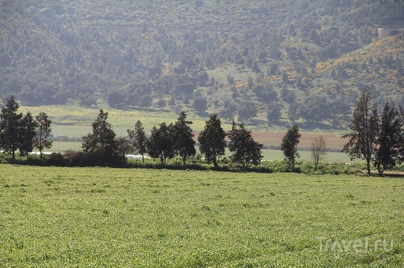Заповедник Хула - естественно и красиво / Фото из Израиля