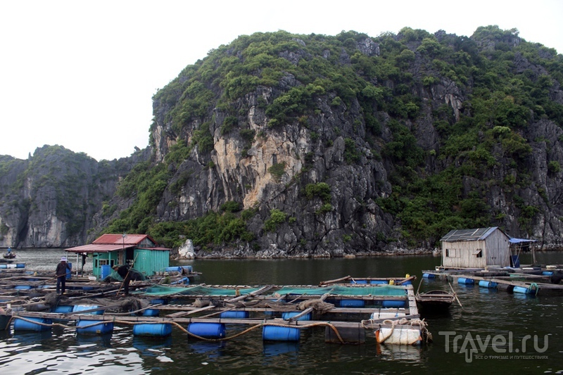 Вьетнам: бухта Халонг / Вьетнам