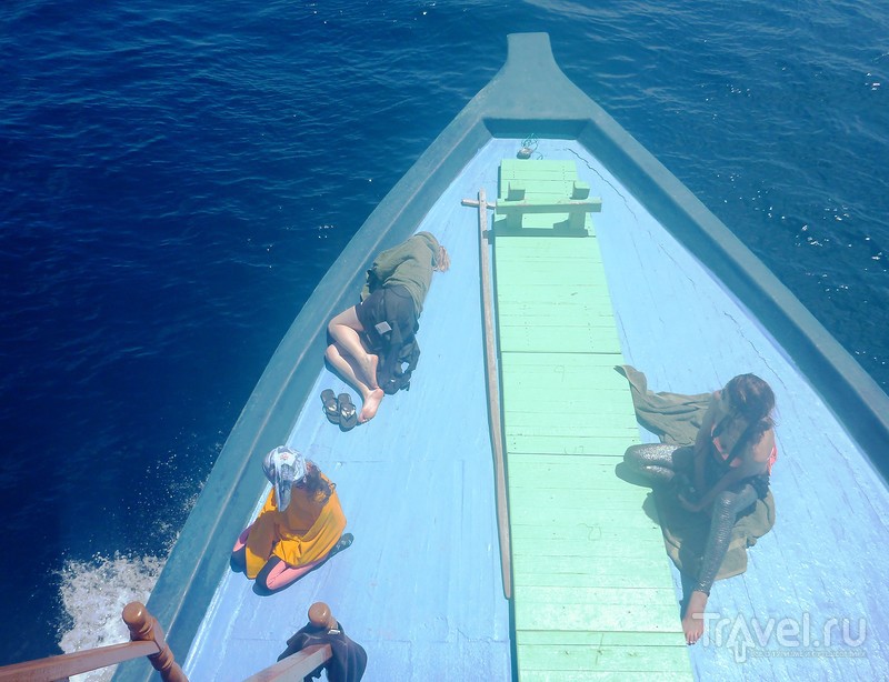В погоне за китовой акулой / Фото с Мальдив