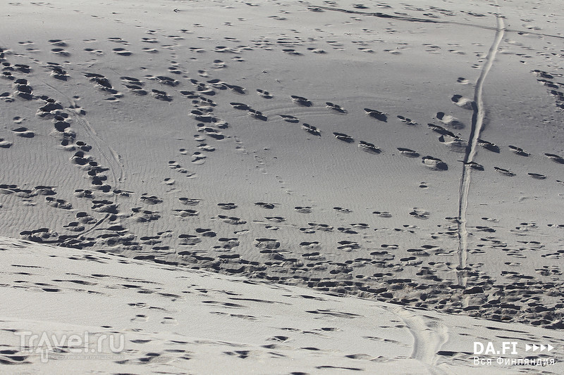Самый большой песчаный пляж Финляндии / Фото из Финляндии