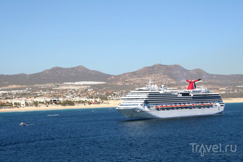    Carnival Cruise Line / 