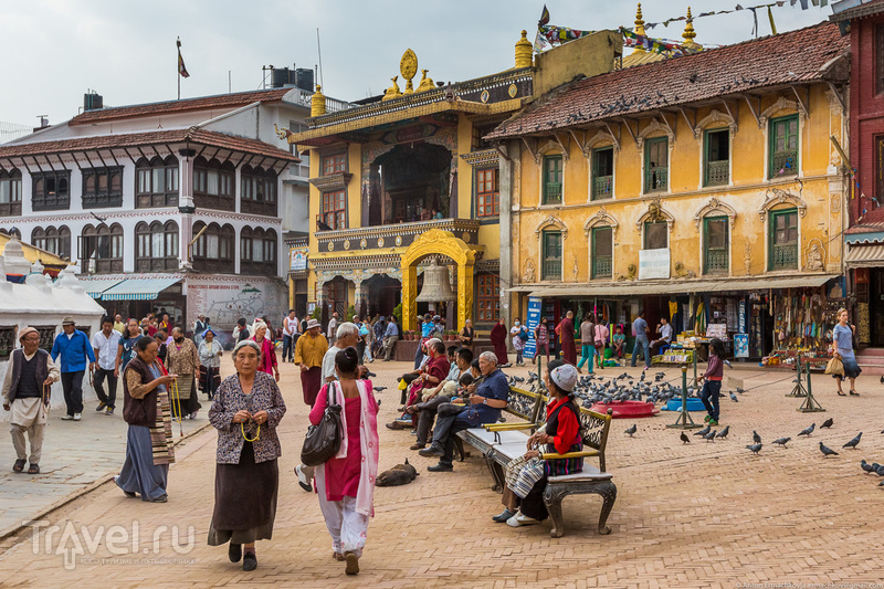 В поисках охотников за медом диких пчёл. Катманду. Боднатх / Фото из Непала