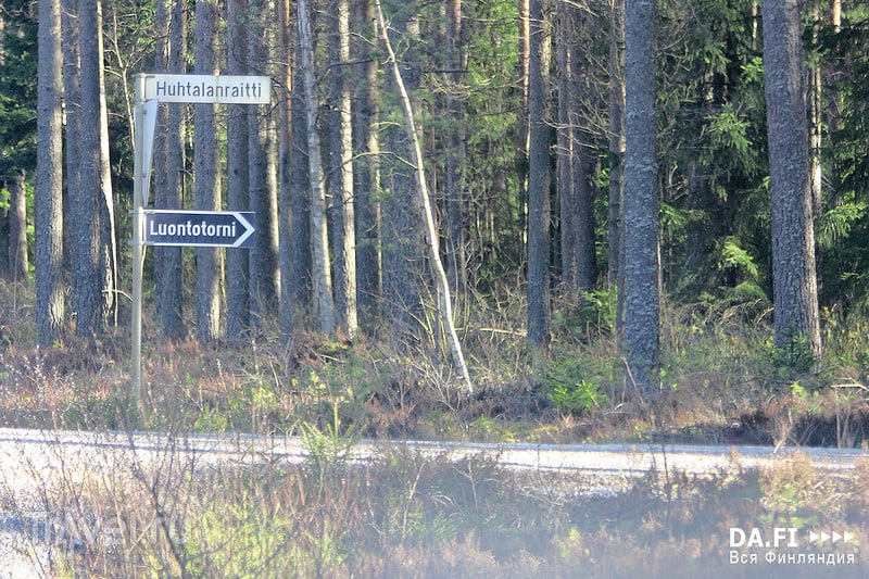 Национальный парк Селькямери / Фото из Финляндии