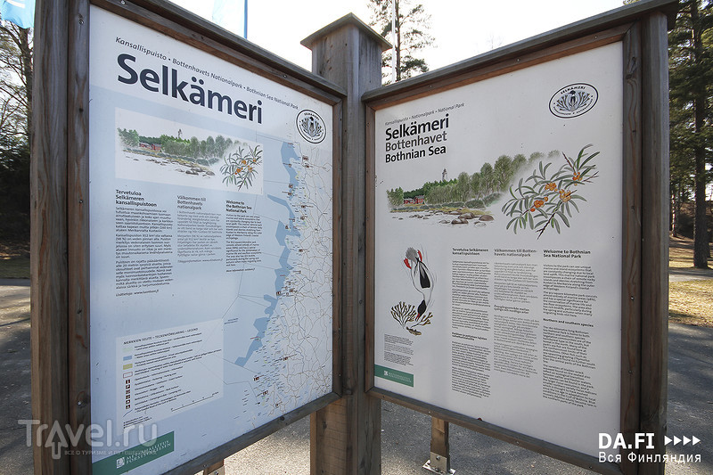 Национальный парк Селькямери / Фото из Финляндии