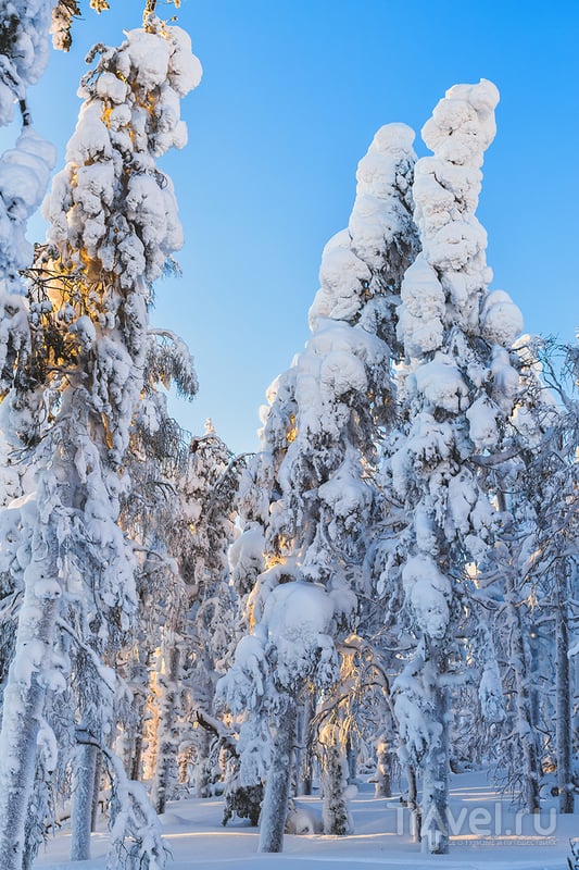 Лапландия зимой - чем заняться и сколько это стоит / Финляндия