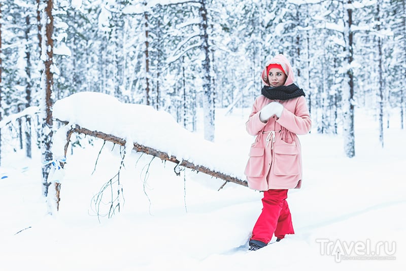Лапландия зимой - чем заняться и сколько это стоит / Финляндия