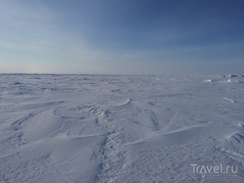 Северный полюс. Туда-обратно за два дня. Мы летим на полюс / Россия
