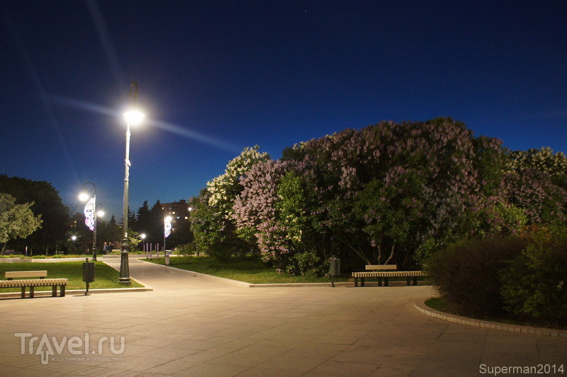 Сиреневый сад ночью / Россия