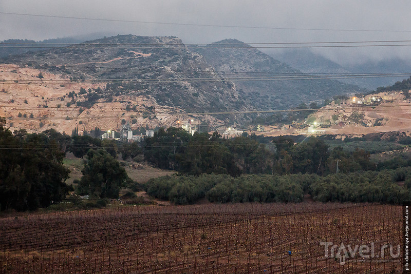 Сырная ферма в горах Израиля / Израиль