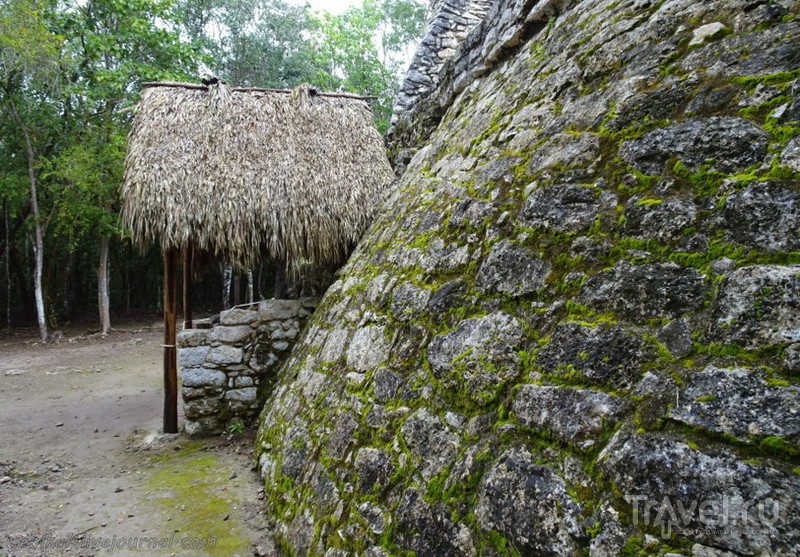 Mundo Maya. Мексика. Коба (Coba) / Фото из Мексики