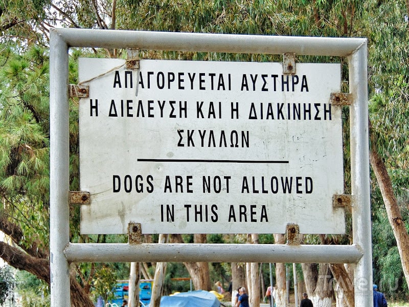 Роща Дассуди: ещё один природный и исторический памятник Лимассола / Фото с Кипра