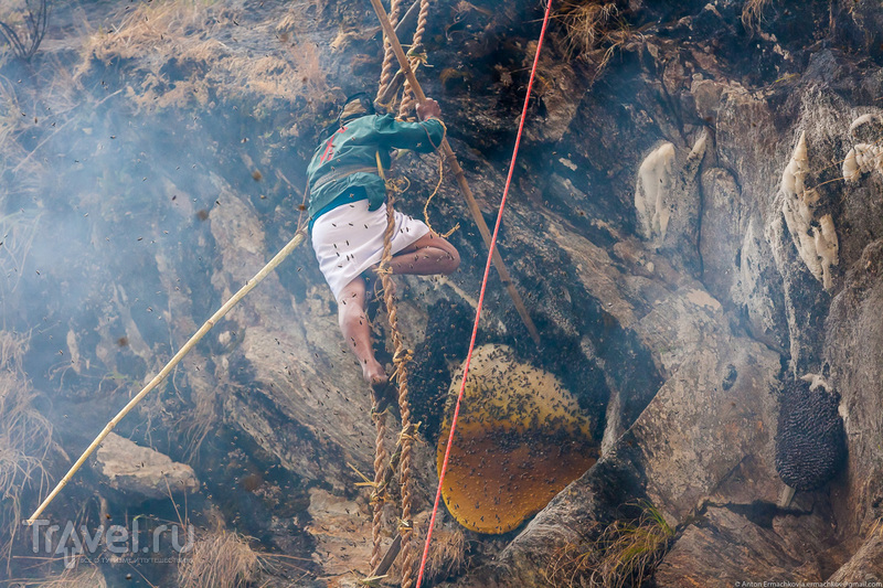 Неизвестные Гималаи. В поисках охотников за медом диких пчёл. Неправильная деревня / Фото из Непала