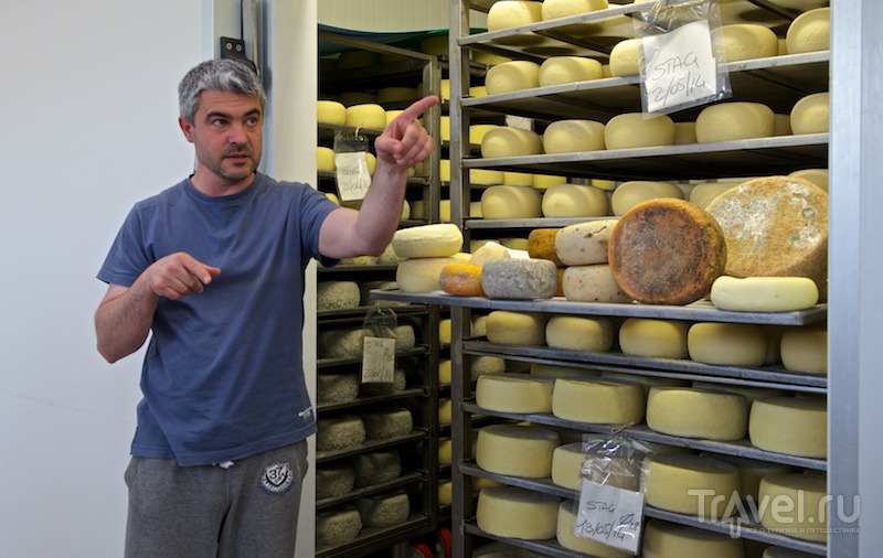 Сырная ферма в итальянском Пьенца / Италия