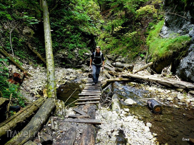 Словацкий Рай - просто рай! Ущелье Велики Сокол / Фото из Словакии