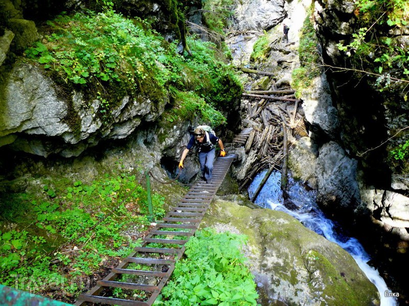 Словацкий Рай - просто рай! Ущелье Велики Сокол / Фото из Словакии