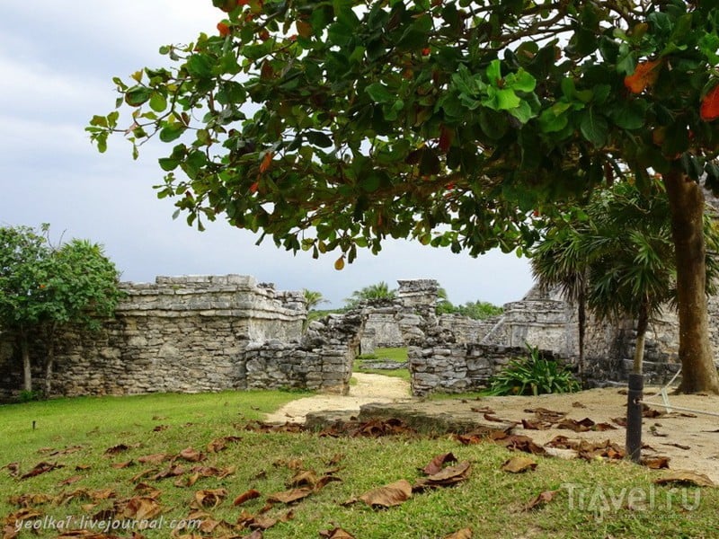 Mundo Maya. .  (Tulum) -    /   