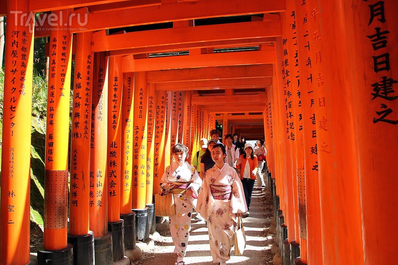 Arashiyama и Fushimi Inari / Япония