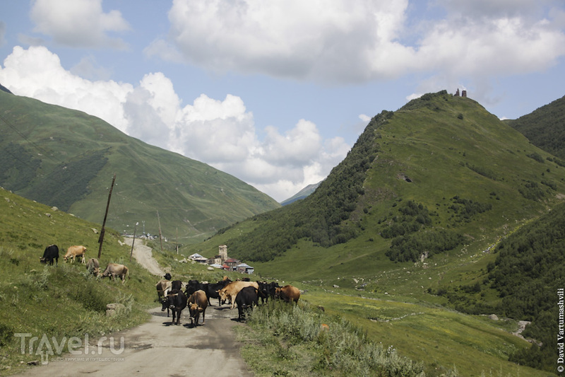 Грузия, Сванетия в июле: Ушгули / Фото из Грузии