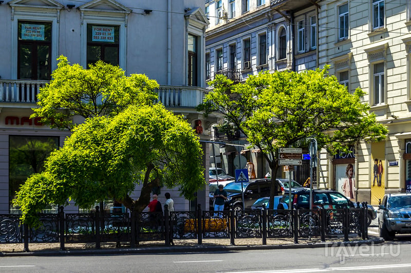 Прогулка по главной улице Тбилиси / Фото из Грузии