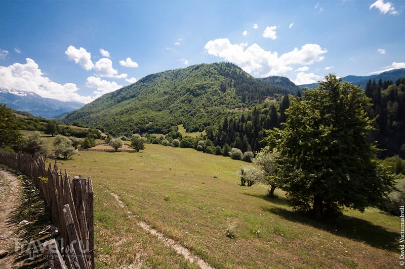 Грузия, Сванетия в июле: монастырь Тангили / Фото из Грузии