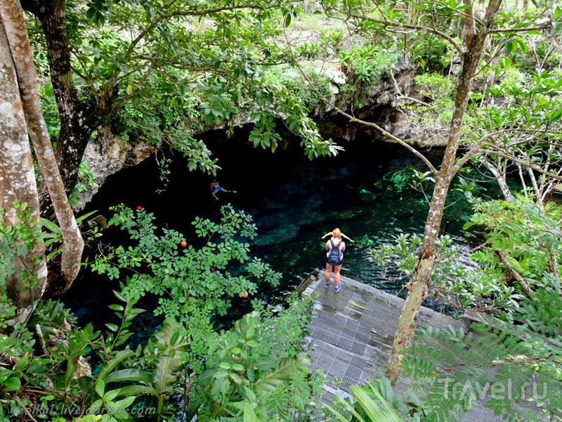 Mundo Maya. Мексика. Гран Сенот (Gran Cenote) / Фото из Мексики