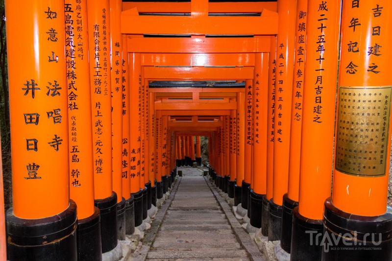 Киото. Лисий храм Фусими Инари / Фото из Японии