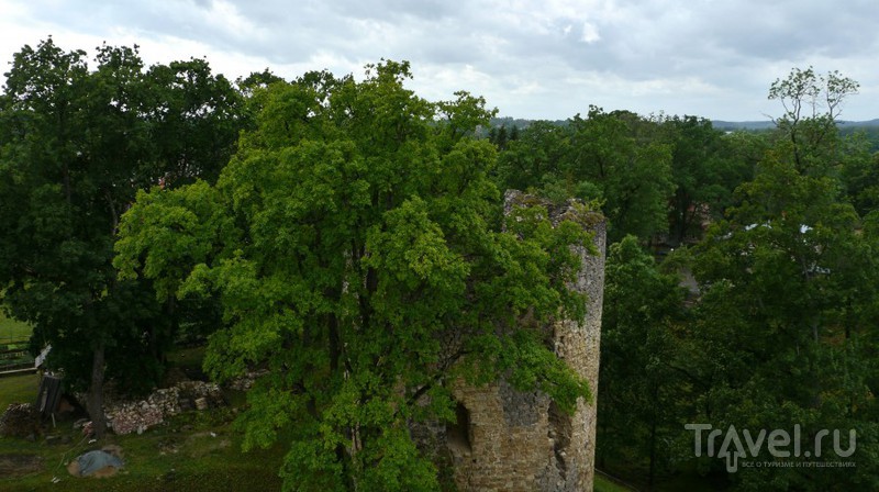 Средневековый замок Венден / Фото из Латвии